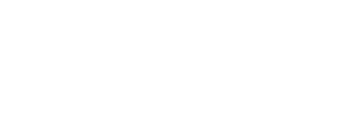 הופמן מנהלי כספים
